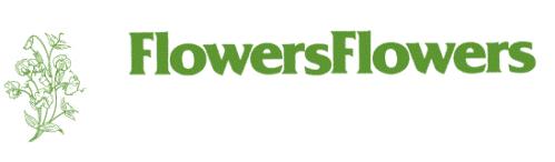 FlowersFlowers Logo Image